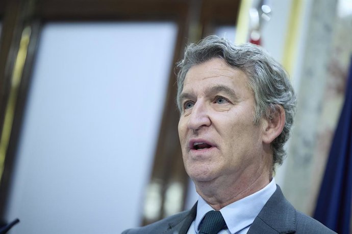 El presidente del PP, Alberto Núñez Feijóo, durante una rueda de prensa en el Congreso 
