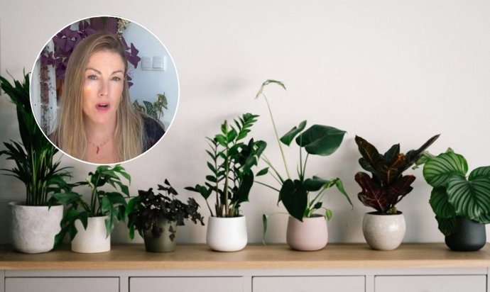 Natalia Sáez, designer de interiores especializada em plantas: "Essas são as plantas que eu jamais colocaria em minha sala de estar".