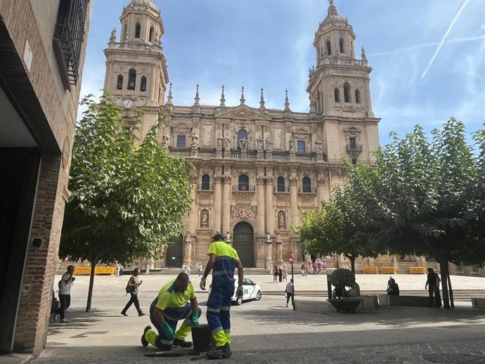 Limpieza de imbornales