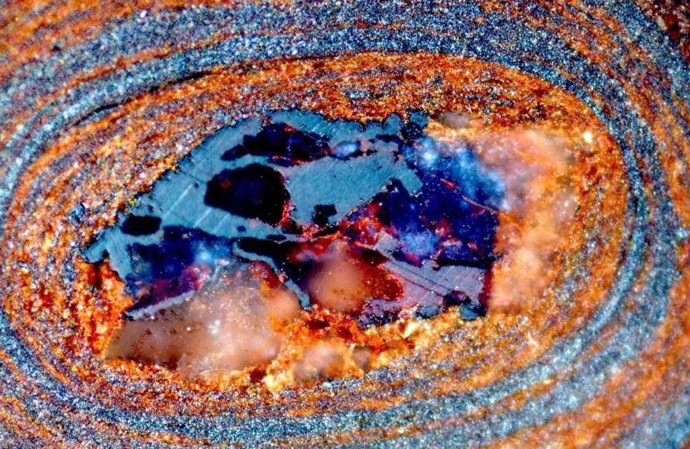 Sección transversal de una piedra de óxido de hierro con forma de huevo: contiene información sobre la cantidad de carbono orgánico en el mar hace millones de años, como una cápsula del tiempo.