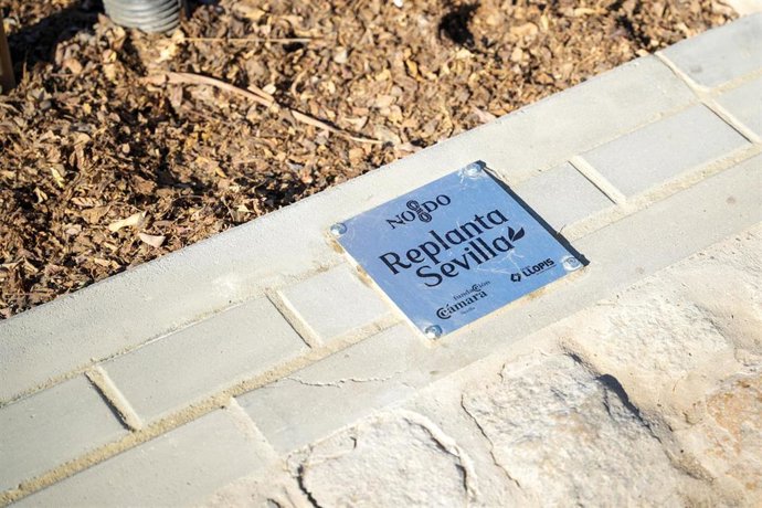 Colocación de placas conmemorativas a empresas participantes de 'Replanta Sevilla'.