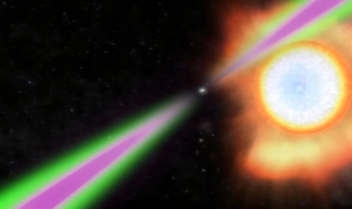 El comparativamente pequeño púlsar araña bombardea a su estrella vecina, mucho más grande, con tanta energía que el lado que mira hacia él se calienta dos veces más que la superficie del Sol, quemando lentamente la estrella.