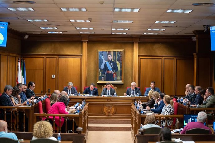 Sesión plenaria de la Diputación Provincial.