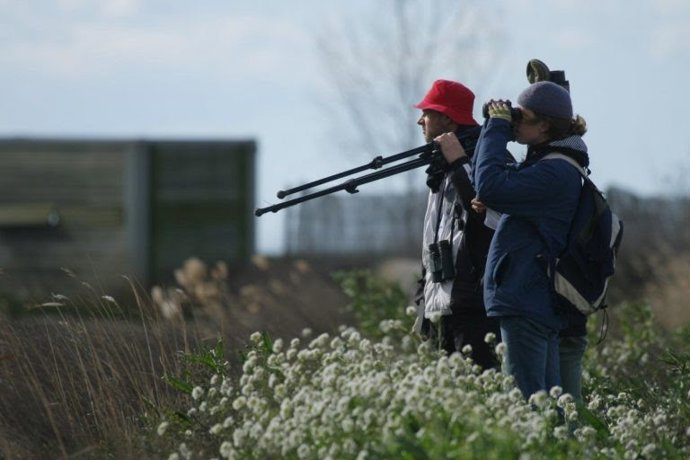 Observacion de aves. SEO/BirdLife reclama un turismo de naturaleza respetuoso e inclusivo como motor del desarrollo sostenible