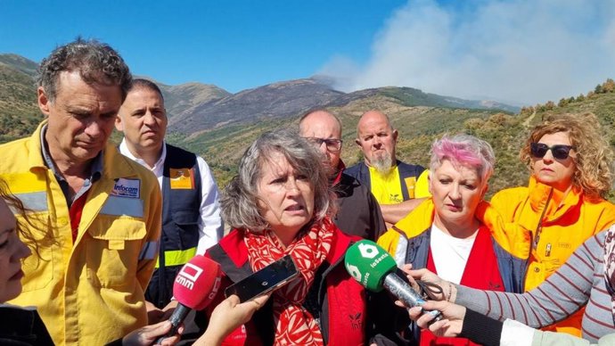 La consejera de Desarrollo Sostenible, Mercedes Gómez, atiende a los medios por el incendio de Peñalba de la Sierra.