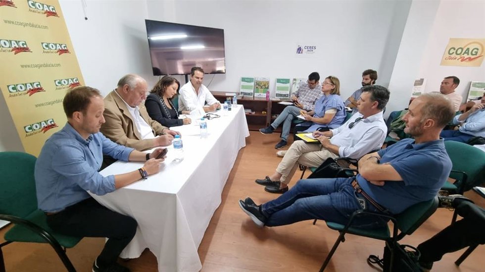 Reunión de responsables de COAG en Andalucía y Jaén con la eurodiputada Carmen Crespo.