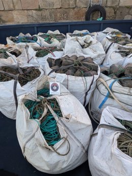 Botes irregulares incautados para capturar pulpo furtivo