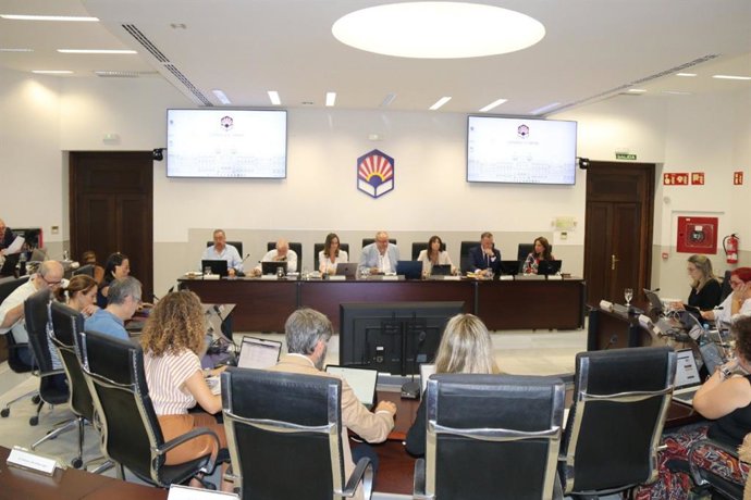 Reunión del consejo de gobierno de la Universidad de Córdoba.