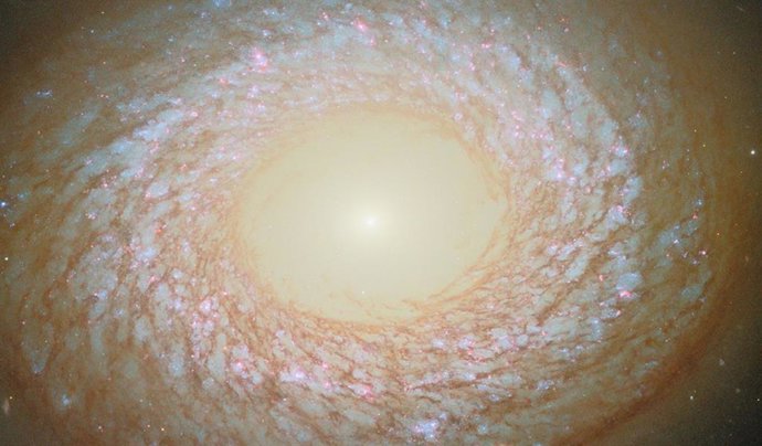 Esta imagem do Telescópio Espacial Hubble da NASA/ESA mostra a galáxia NGC 2775.