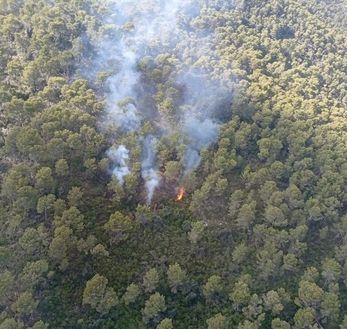 Imagen aérea del incendio forestal iniciado en sa Comuna de Bunyola.