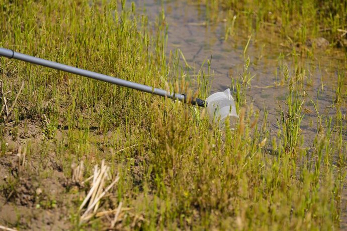 Archivo - Imagen de archivo de un tratamiento contra el mosquito que transmite el virus del Nilo en el marco del protocolo de prevención y control.