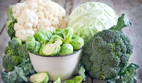 Nutrición