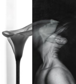 Imagen de 'Delirio', la obra ganadora del IV Concurso de Foto Poética Hernandiana que convoca la Diputación de Jaén a través de la Fundación Legado Literario Miguel Hernández.