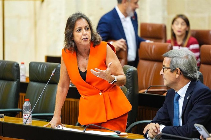 La consejera de Medio Ambiente, Carolina García, en la sesión plenaria de esta semana.