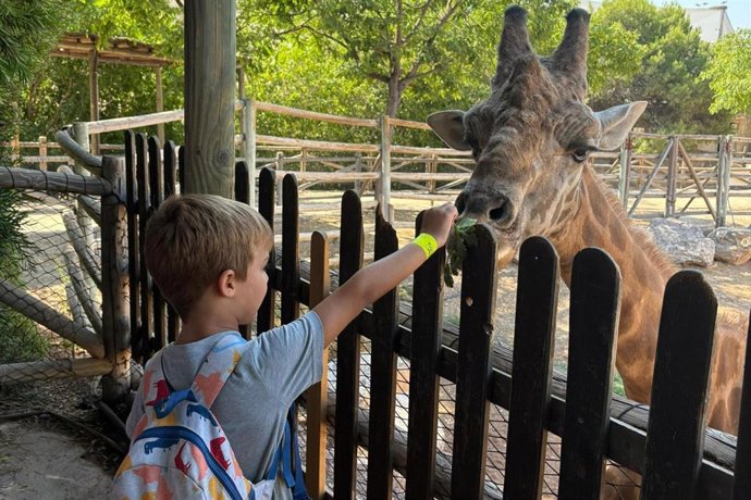 Un niño de la escuela de verano del parque zoológico y acuático municipal Terra Natura Murcia