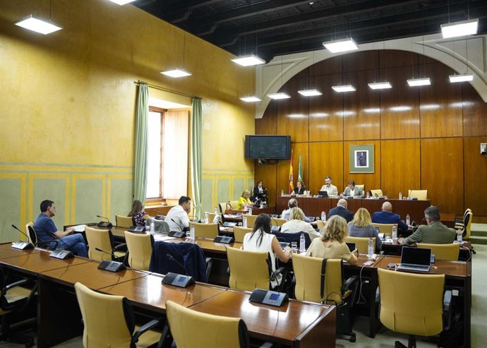 Archivo - Vista general de la comisión de Agricultura, Pesca, Agua y Desarrollo Rural del Parlamento andaluz. (Foto de archivo).