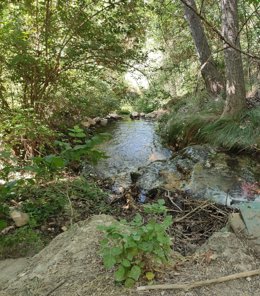 La CHE advierte de la posibilidad de crecidas en cauces bajos en Aragón, Cataluña, Valencia, Navarra y La Rioja.