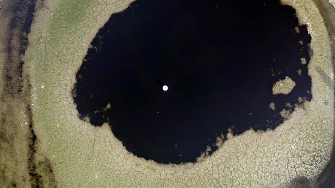 Intervalo de confianza, de Juan para Flora 2025.