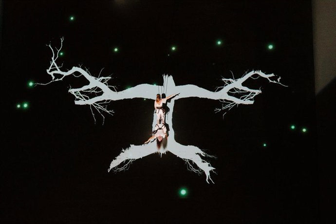 Vídeo de la noticia