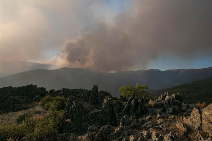Labores de extinción del incendio de Peñalba de la Sierra.