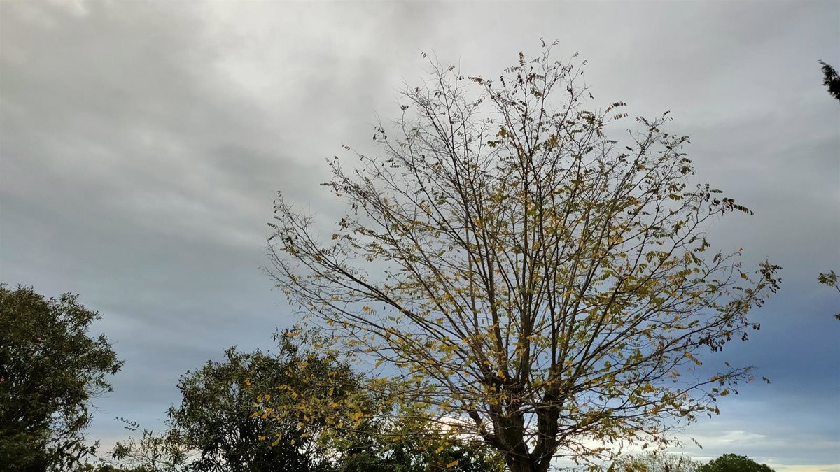 El tiempo en Extremadura para hoy lunes, 29 de septiembre de 2025