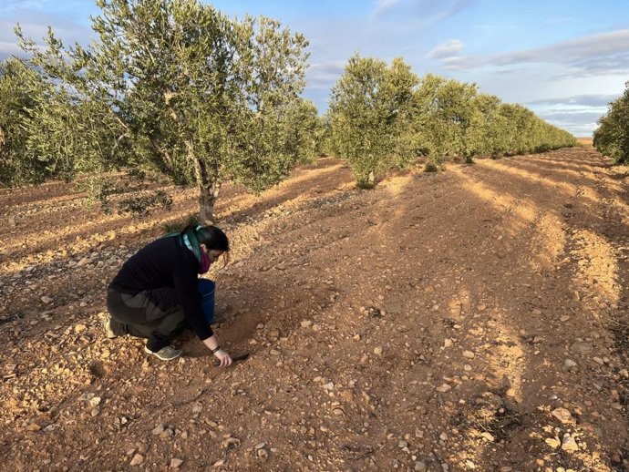El CITA acoge la jornada de presentación de resultados finales del proyecto S.O.S.-Suelo Agroalnext