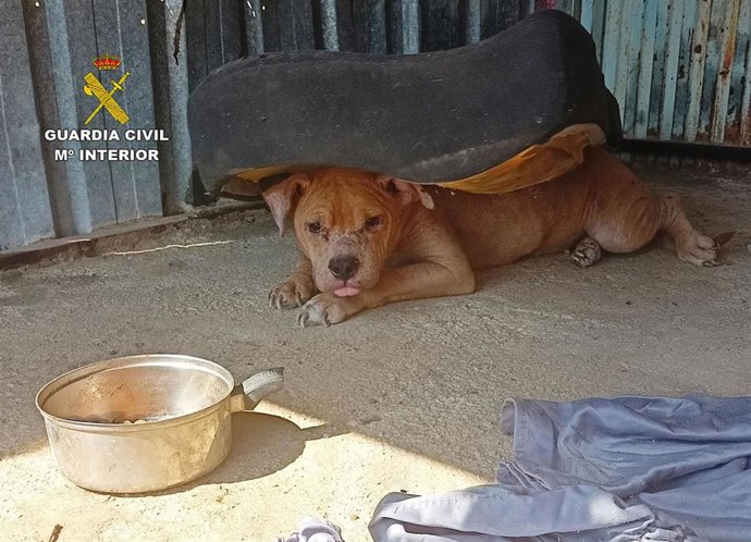 Vídeo de la noticia