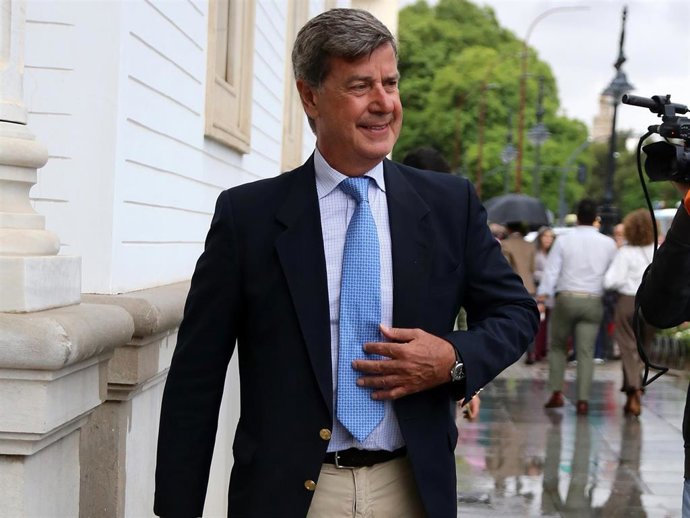 Cayetano Martínez de Irujo