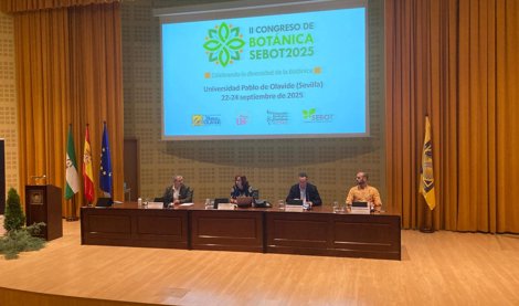 Es Andalucía - Sevilla