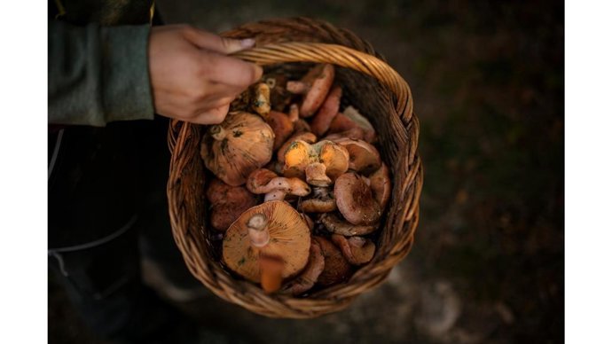 Archivo - Catalunya abre la temporada otoñal como Región Mundial de la Gastronomía 2025