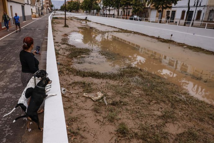 Una dona i els seus dos gossos observen el barranc de la Saleta després del seu desbordament, a 29 de setembre del 2025, a Aldaia, València, Comunitat Valenciana (Espanya).