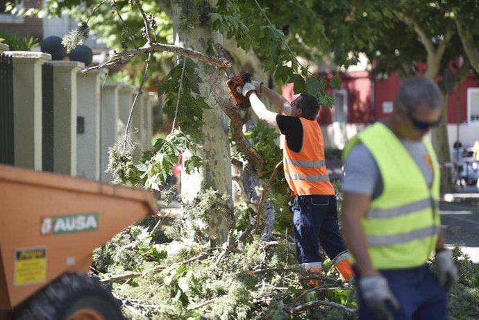 Archivo - Imagen de archivo de un operario trabajando en una zona verde.