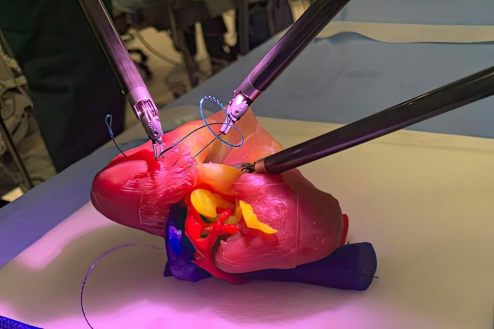 Flamingo Biomechanical Lab ofrece soluciones de alto nivel tecnológico para el sector sanitario, con réplicas exactas de órganos.