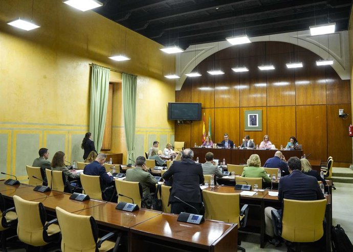 Vista general de la comisión de Agricultura, Pesca, Agua y Desarrollo Rural del Parlamento andaluz.
