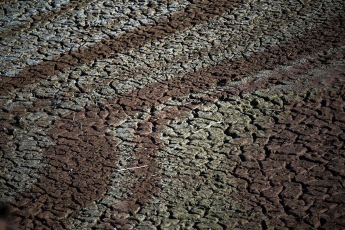 Archivo - El pantano de Sau 