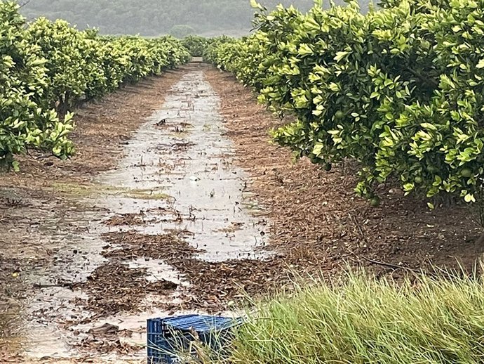 Campo tras las lluvias de septiembre de 2025