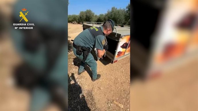 Un agente del Seprona en la finca donde se encontraron los perros muertos