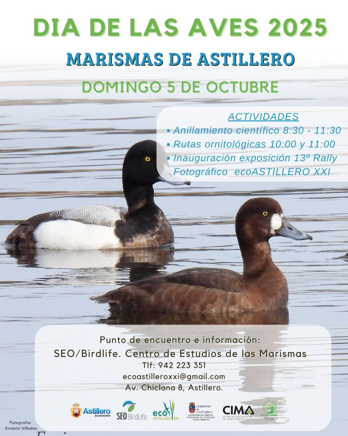 Las Marismas de Astillero serán el centro de la celebración del Día de las Aves 2025