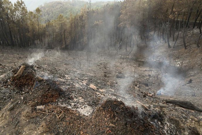 Zonas calcinadas por el incendio de Pontón durante la realización de labores de extinción del incendio de Pantón, a 22 de septiembre de 2025, en Pantón, Lugo.