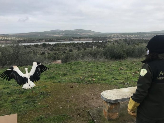 Archivo - Una suelta de aves en la Reserva Natural Laguna de Zóñar, en Aguilar de la Frontera, donde aparecieron aves muertas, cuyo análisis ha dado negativo a la presencia de virus.
