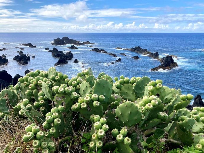 Horizontes inexplorados: descubriendo el alma de las Azores con Mercure