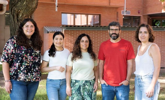 Equipo investigador