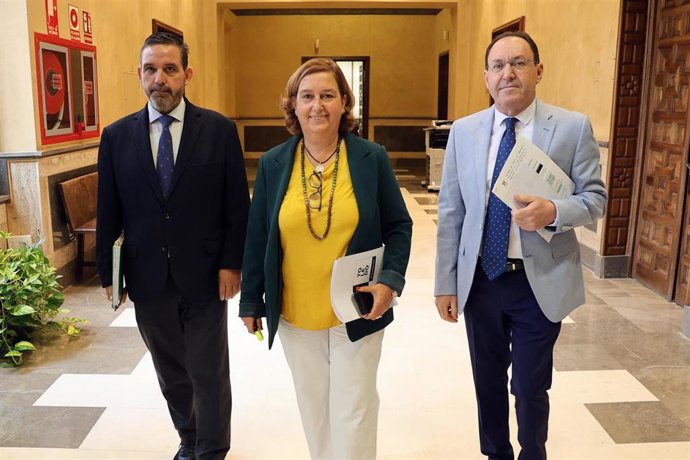 La presidenta de la Diputación de Toledo, Concepción Cedillo.