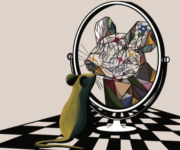 As expressões faciais refletem os cálculos complexos e paralelos que ocorrem no cérebro.