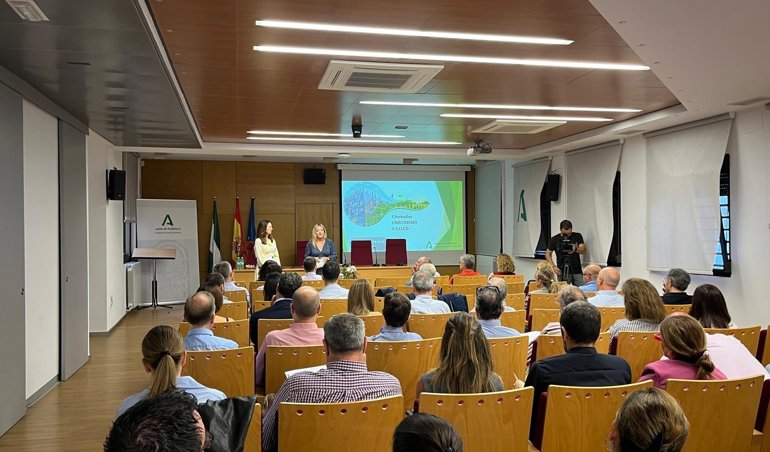 Es Andalucía - Sevilla