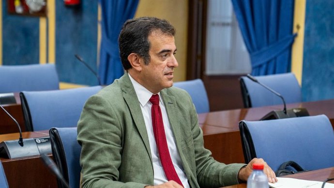 El presidente de Vox Málaga y diputado de la formación en el Parlamento de Andalucía, Antonio Sevilla.