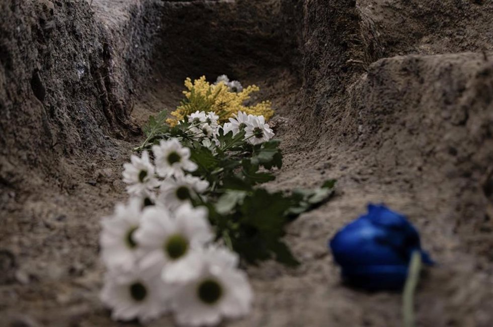Archivo - Flores en el Barranco de Víznar (Granada). (Foto de archivo).