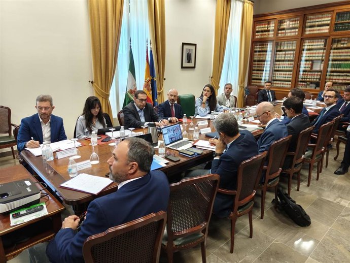 El Ministerio de Transportes y Movilidad Sostenible ha presentado este martes las propuestas de mejora en las que está trabajando para incrementar la capacidad de la línea C1 (Málaga-Fuengirola) del tren de Cercanías en Málaga en un 60%