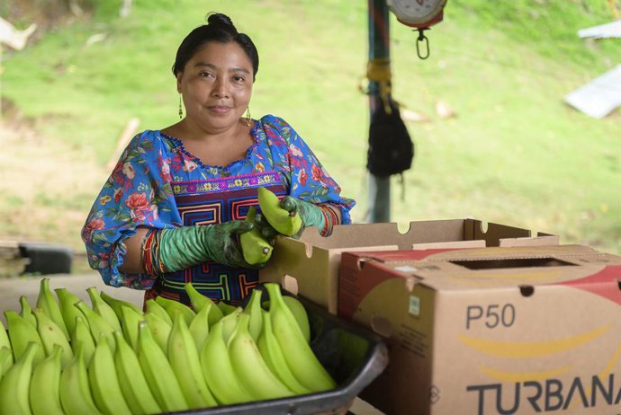 Uniban presenta el banano colombiano