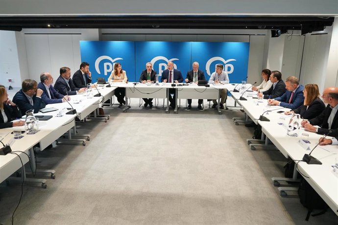 El secretario general del PP, Miguel Tellado, se reúne con los portavoces parlamentarios del PP en las comunidades autónomas para coordinar iniciativas.